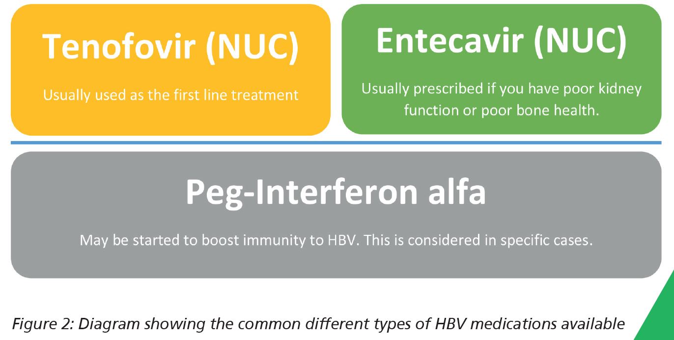 Chronic Hepatitis B Virus (HBV) - University Hospitals Sussex NHS ...