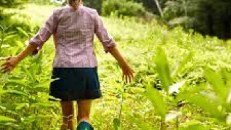 Photo of a person walking through the countryside.